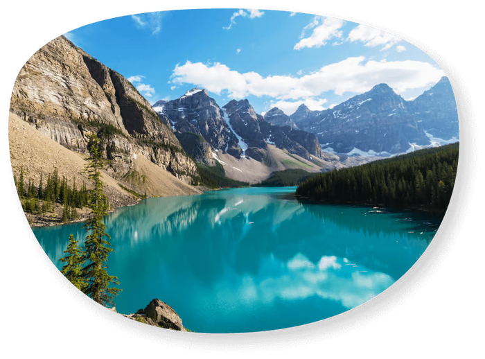 Polarized view